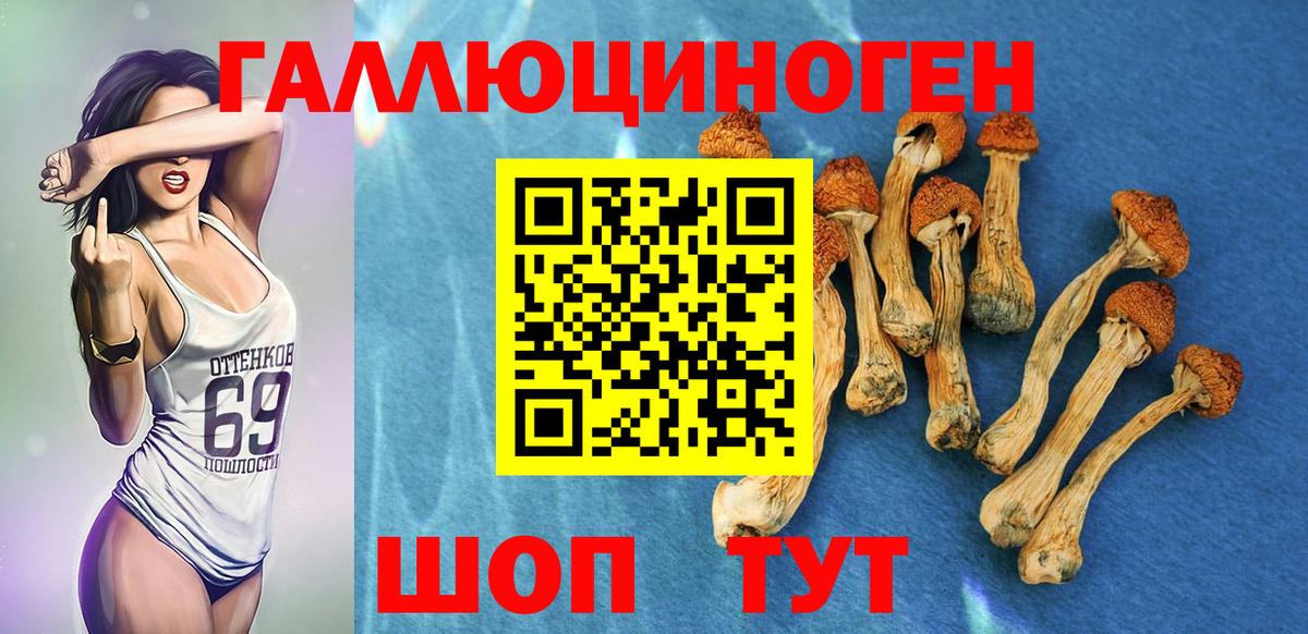 Корсаков  Псилоцибиновые грибы мицелий  Вход с VPN 